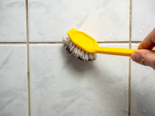 Best Toxic Mold Removal  in Laureles, TX