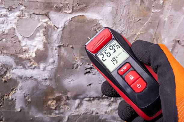 Best Mold Removal Near Me  in Laureles, TX