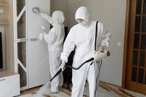 Best Black Mold Removal  in Laureles, TX
