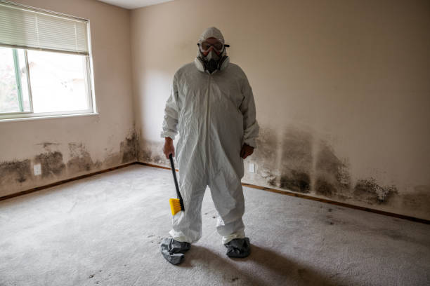 Professional Mold Removal in Laureles, TX